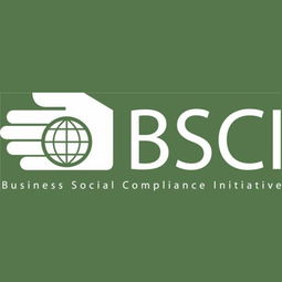 深圳九域企業(yè)管理 一站式EICC驗(yàn)廠咨詢輔導(dǎo)，助力企業(yè)合規(guī)與卓越