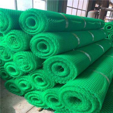 綠色植被網(wǎng) 河池華誼植草網(wǎng)與三維土工網(wǎng)墊的廠家直發(fā)優(yōu)勢