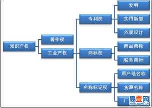 貴州省知識產權服務（商標、專利、著作權） 精析易登網版權服務優勢與適用范圍