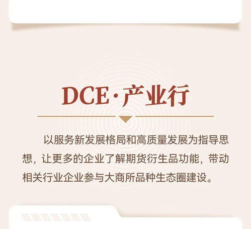 數智融合，服務實體 大商所市場發展服務掠影